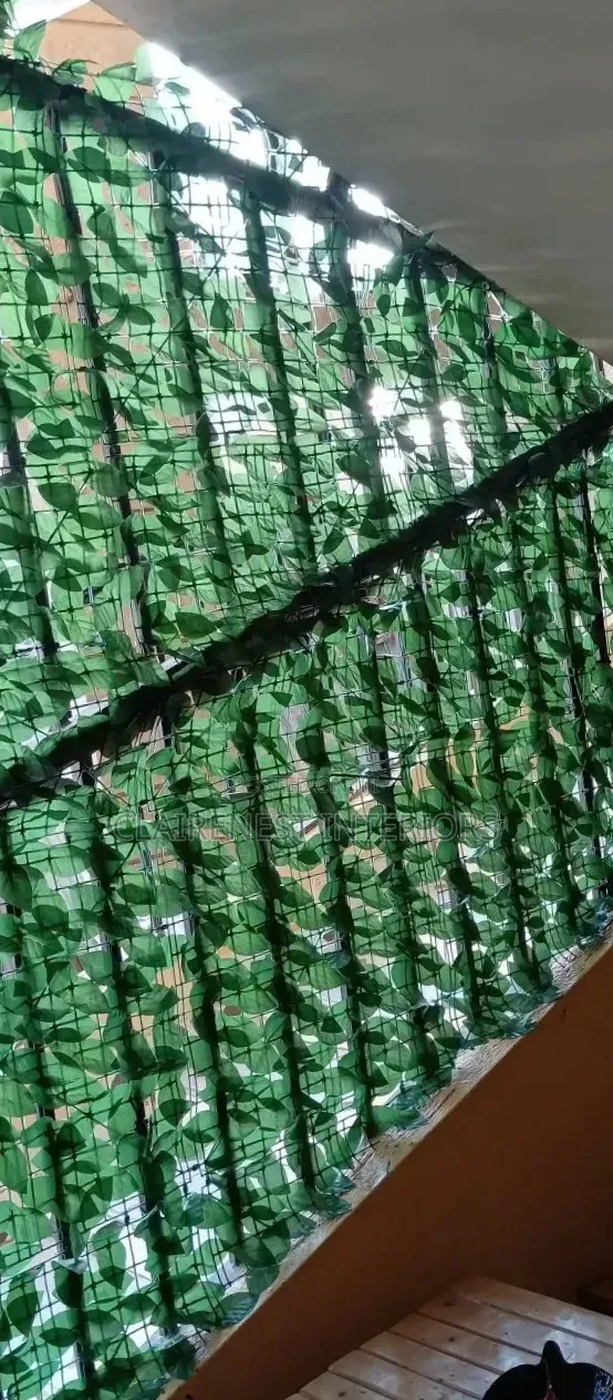 Green Décor That Requires Little Upkeep Balcony Fence