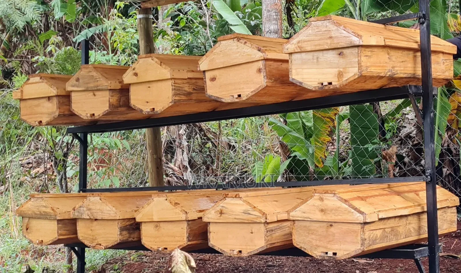 Kenya Top Bar Hive