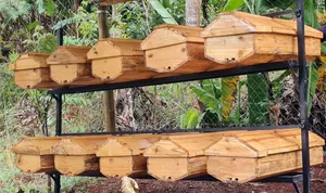 Kenya Top Bar Hive