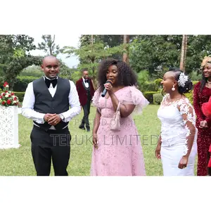 Professional Wedding Sound for Hire