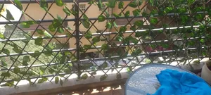 Transform Balconies Into Cozy Retreats With Expandable Privacy Fence