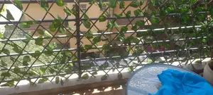 Transform Balconies Into Cozy Retreats With Expandable Privacy Fence