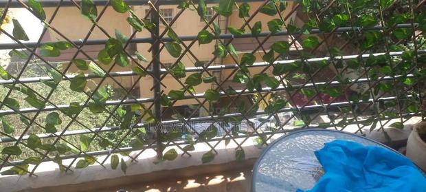 Transform Balconies Into Cozy Retreats With Expandable Privacy Fence