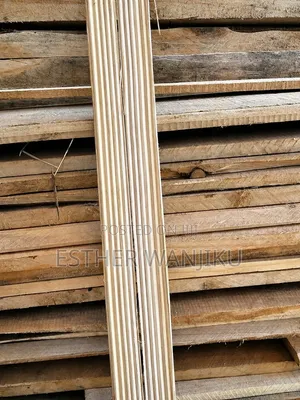 Picture Line / Astrap