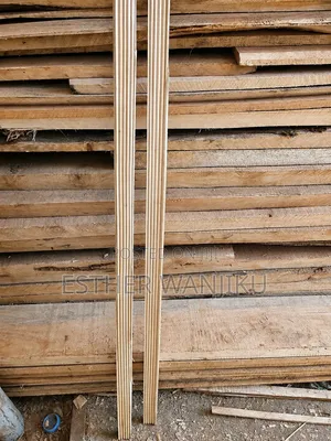 Picture Line / Astrap