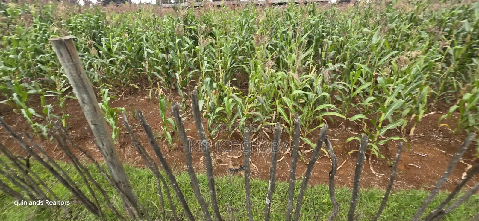 1⁄4 Plots for Sale in Kapseret Wells Eldoret