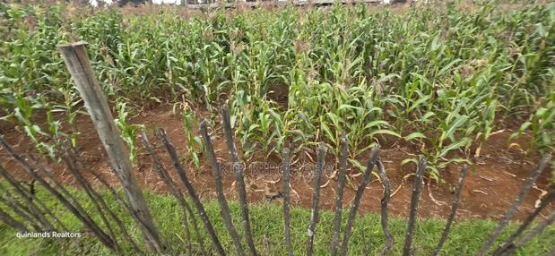 1⁄4 Plots for Sale in Kapseret Wells Eldoret - main view