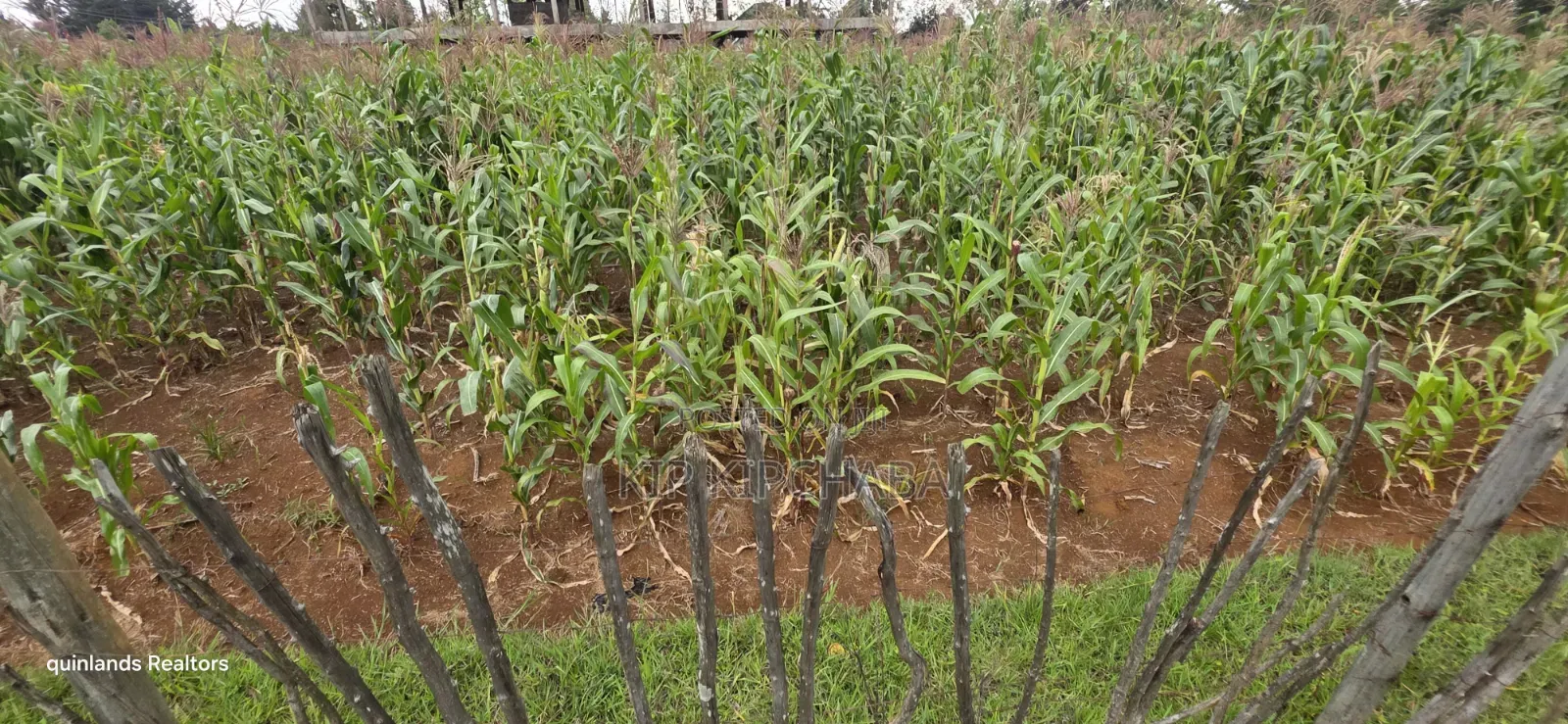 1⁄4 Plots for Sale in Kapseret Wells Eldoret