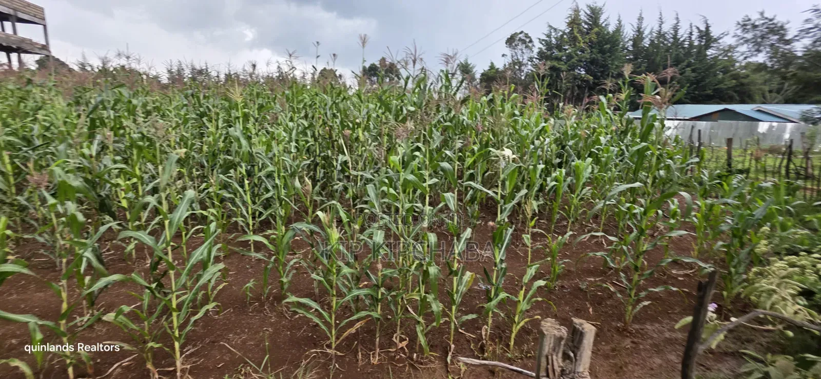 1⁄4 Plots for Sale in Kapseret Wells Eldoret