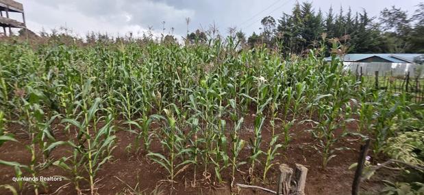 1⁄4 Plots for Sale in Kapseret Wells Eldoret - thumbnail 3