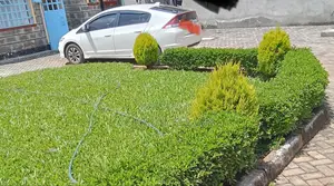 Honda Insight 2010 White