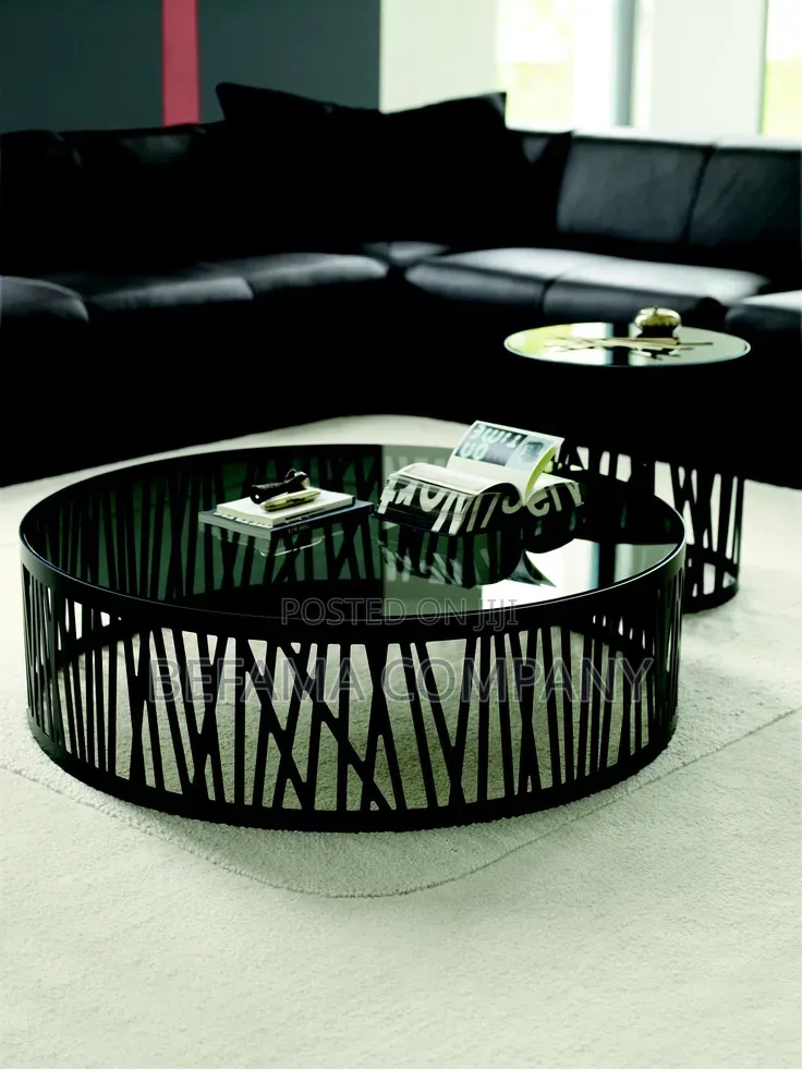 Modern and Exquisite Coffee Table