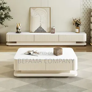 Modern and Exquisite Coffee Table