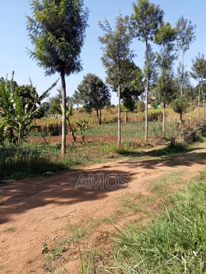 1⁄8 AC Plot Sale Limuru Nyatarangi Area 4th Row From Maimahiu Highway
