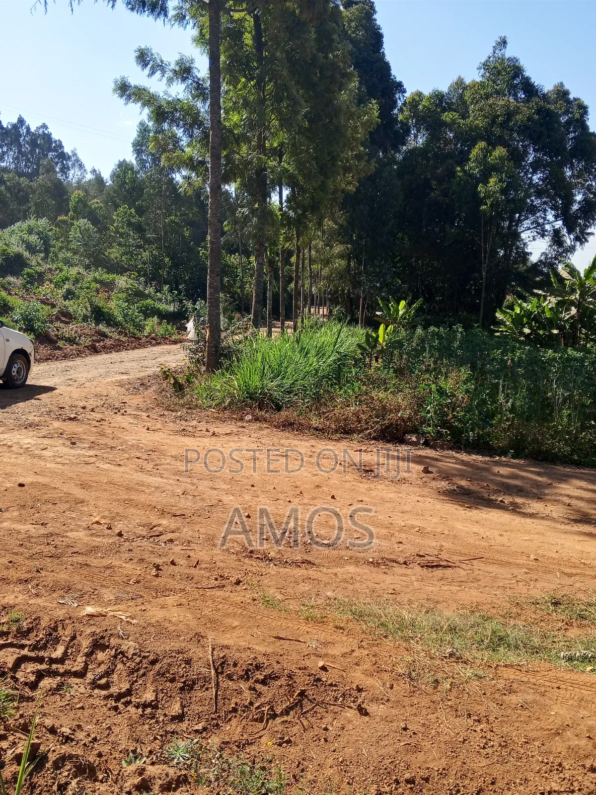 1⁄8 AC Plot Sale Limuru Nyatarangi Area 4th Row From Maimahiu Highway