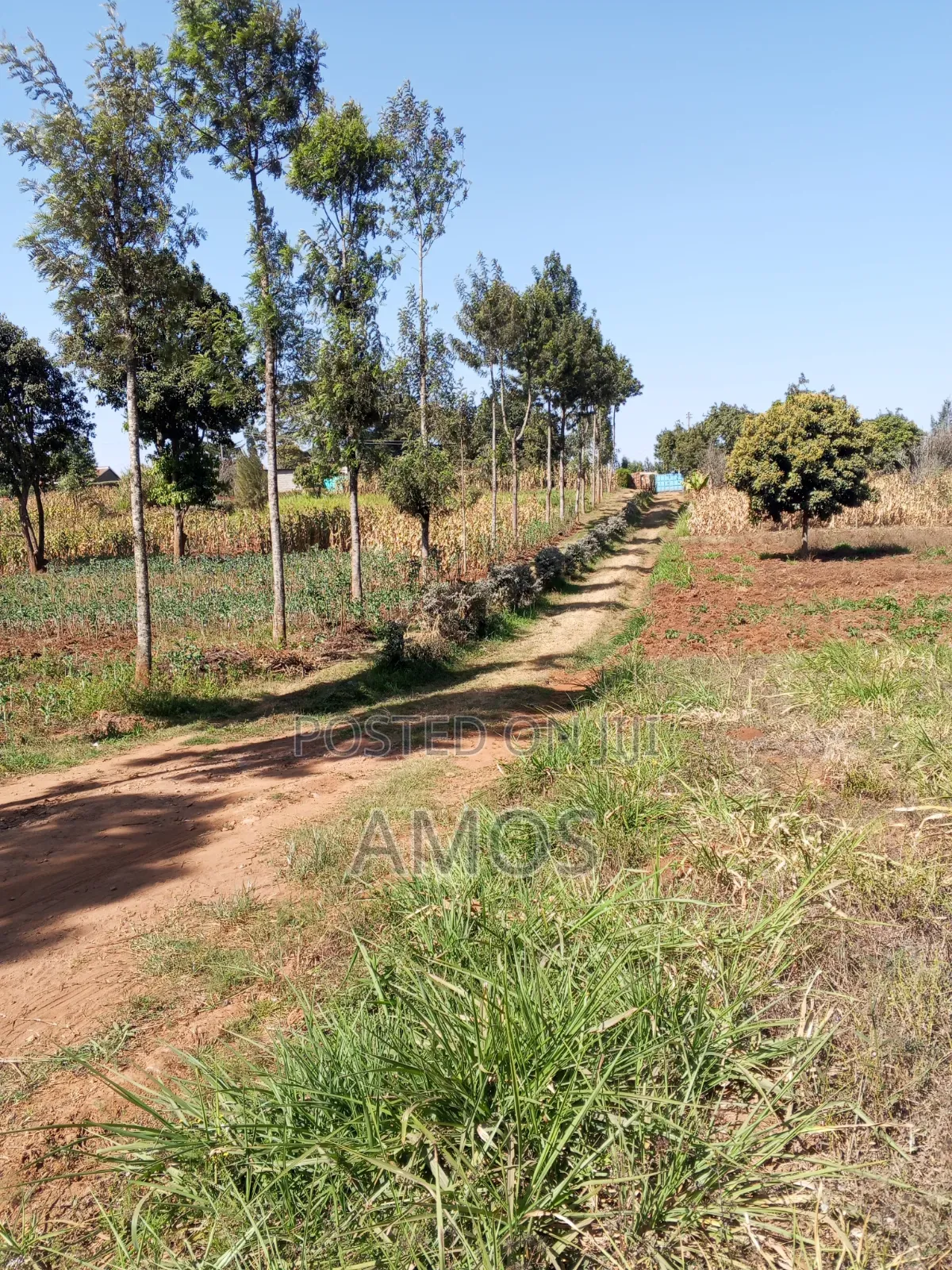 1⁄8 AC Plot Sale Limuru Nyatarangi Area 4th Row From Maimahiu Highway