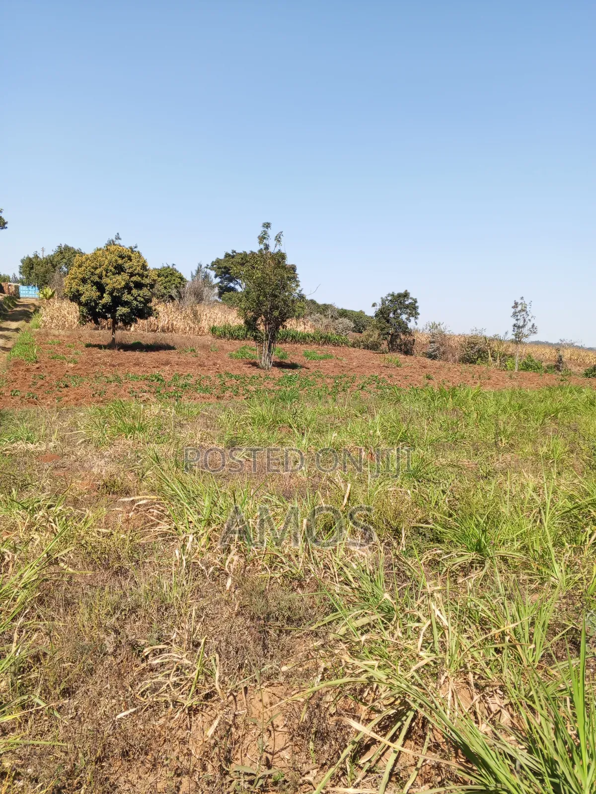 1⁄8 AC Plot Sale Limuru Nyatarangi Area 4th Row From Maimahiu Highway