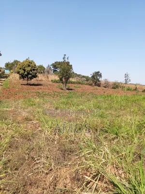 1⁄8 AC Plot Sale Limuru Nyatarangi Area 4th Row From Maimahiu Highway
