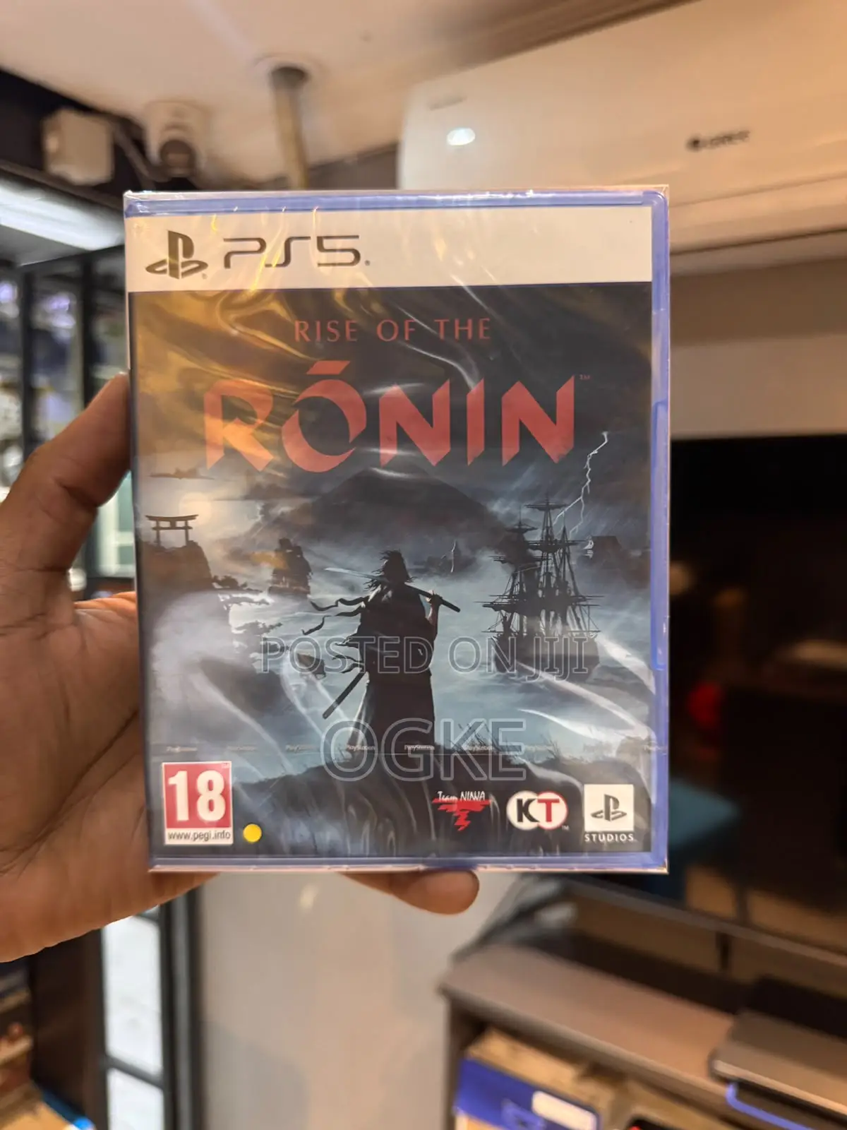 Rise of the Ronin