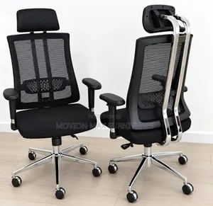 Office Chairs,orthopedic Vanguard Ergonomic Chair
