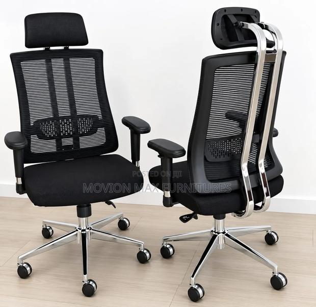 Office Chairs,orthopedic Vanguard Ergonomic Chair