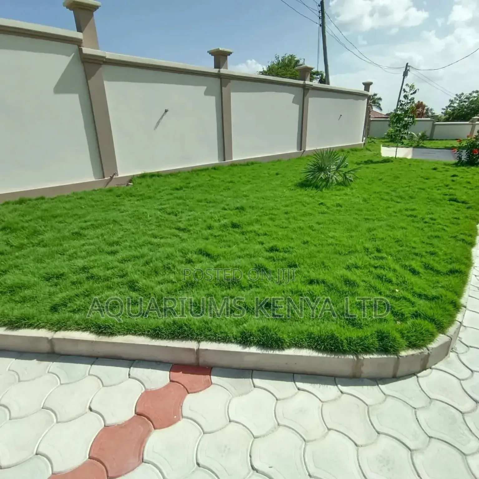 Constructing a Swimming Pool? We Build It From the Ground Up. 