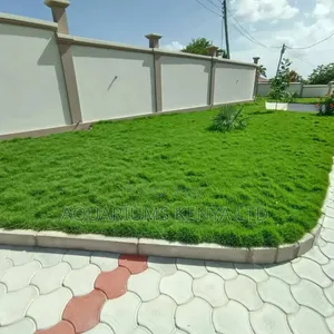 Constructing a Swimming Pool? We Build It From the Ground Up. 