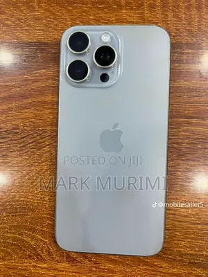Apple iPhone 15 Pro Max 256 GB Gray