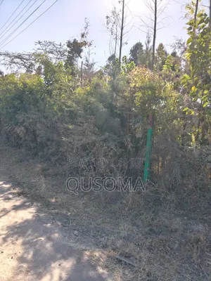 Kitengela (Sucos/Optiven Estate) – 2.3km From KAG University, Eighth