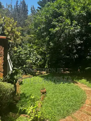 Riara Road, Lavington Plot