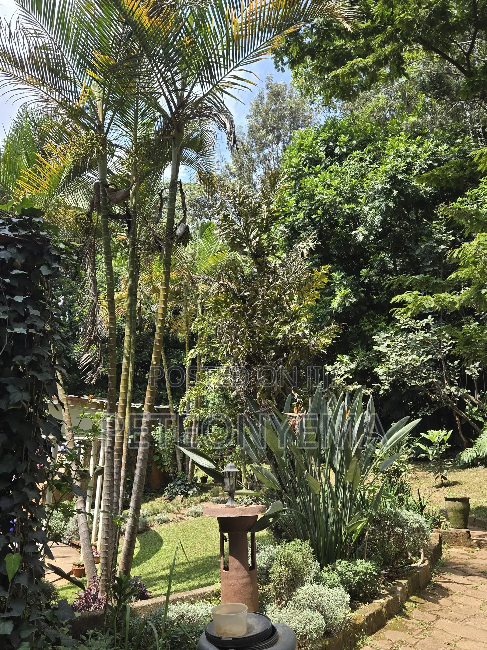 Riara Road, Lavington Plot