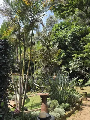 Riara Road, Lavington Plot