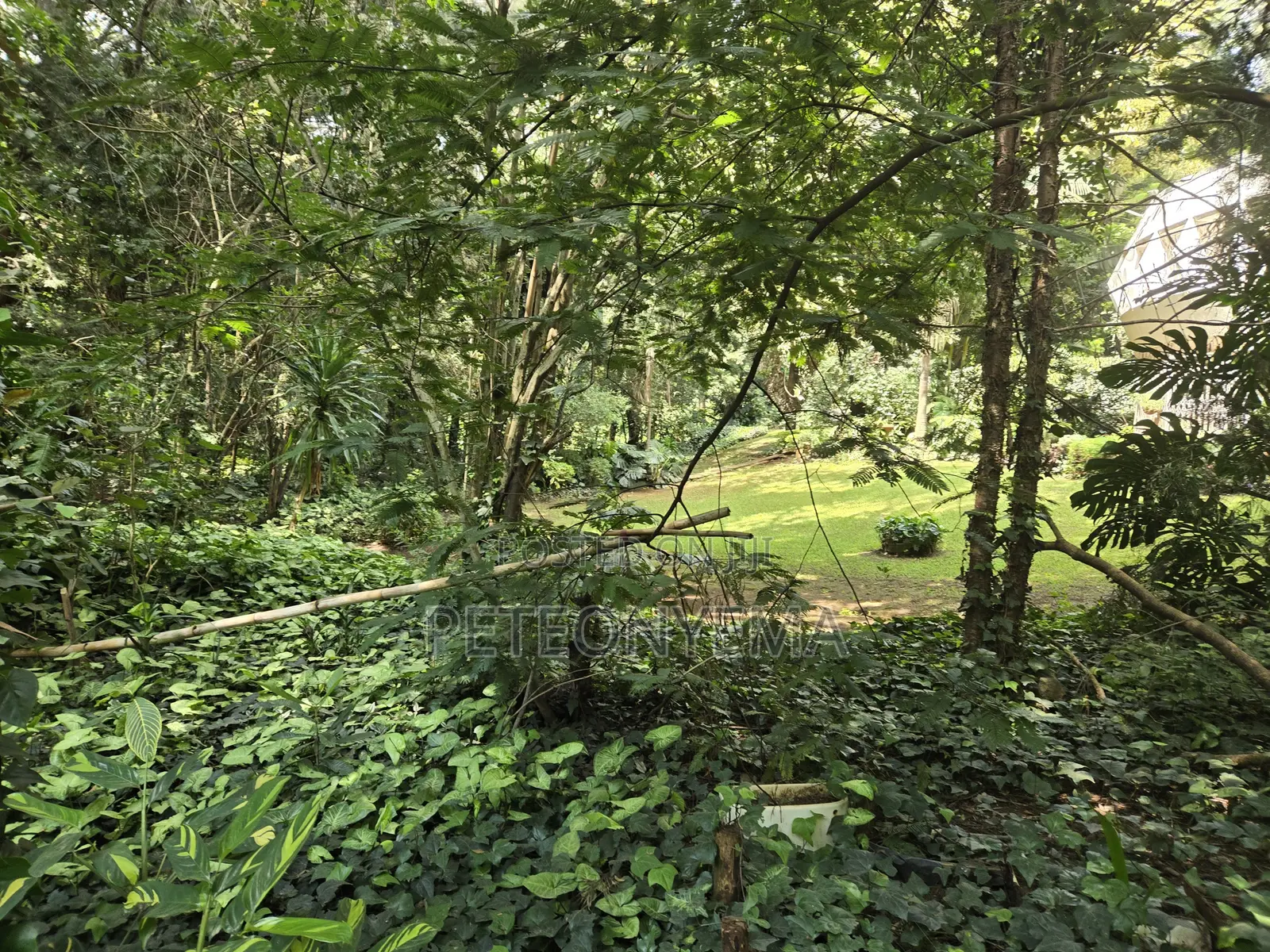 Riara Road, Lavington Plot