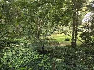 Riara Road, Lavington Plot