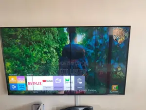 Samsung 50 Inch TV With Lines