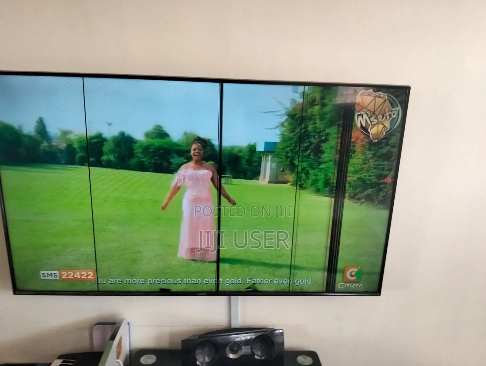 Samsung 50 Inch TV With Lines