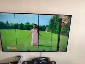 Samsung 50 Inch TV With Lines