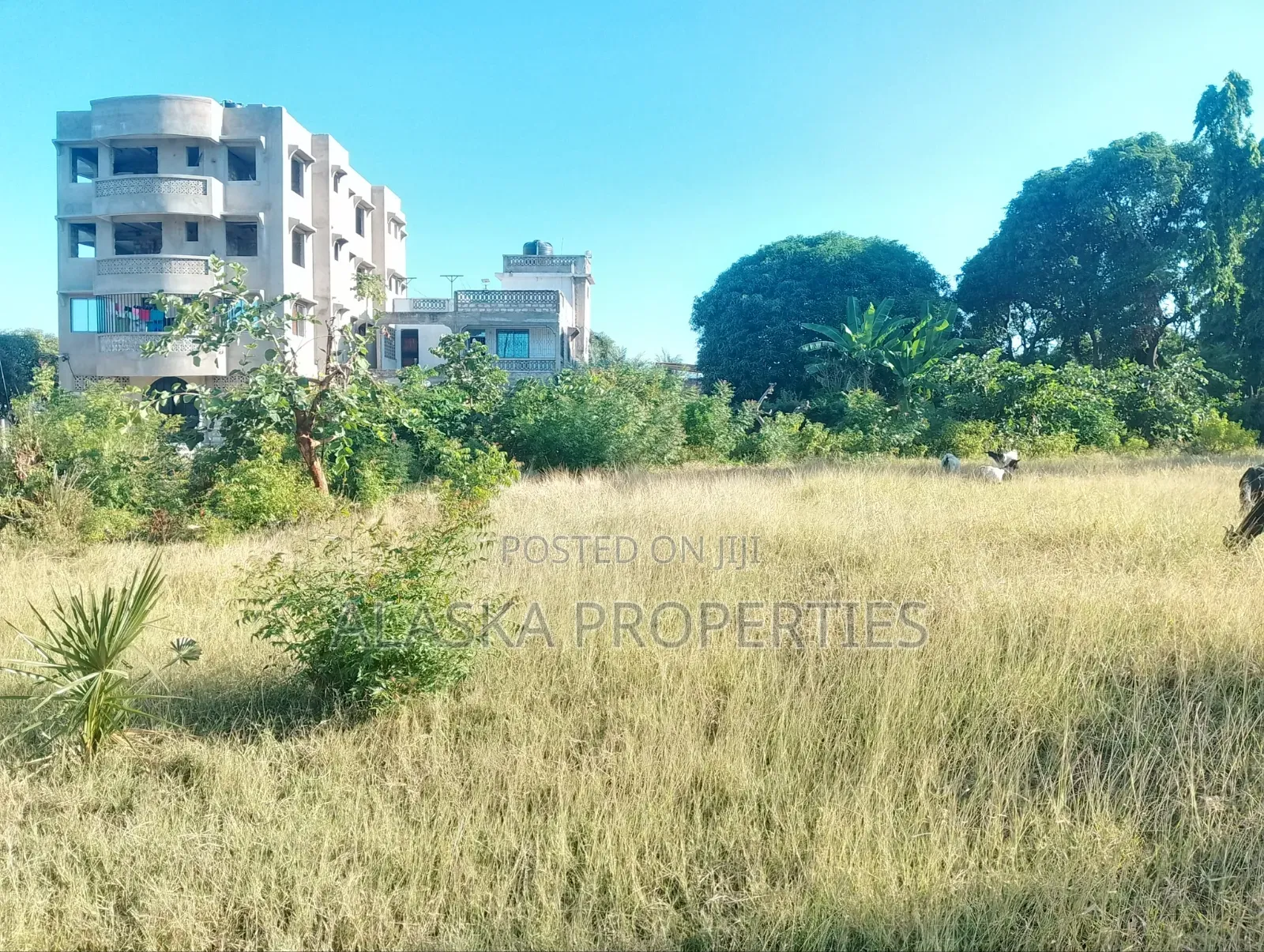 Quarter Acre Plot for Sale in Utange