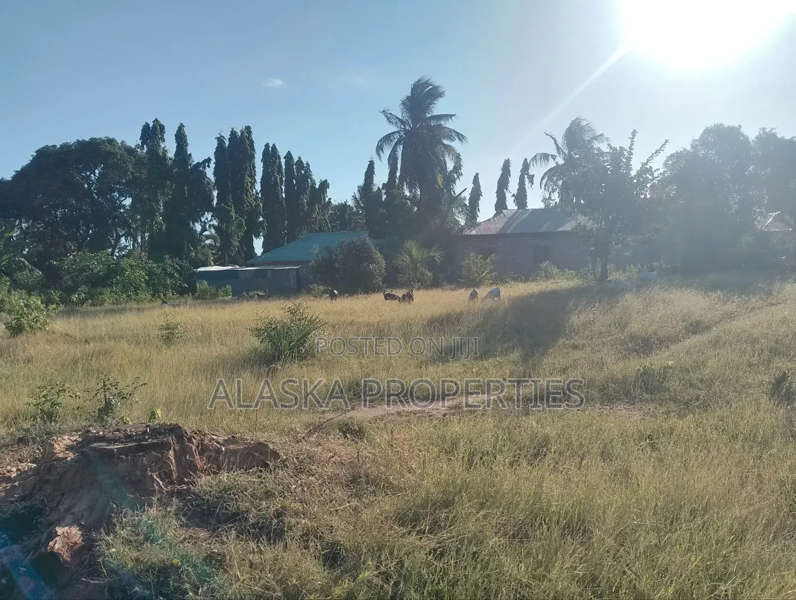 Quarter Acre Plot for Sale in Utange
