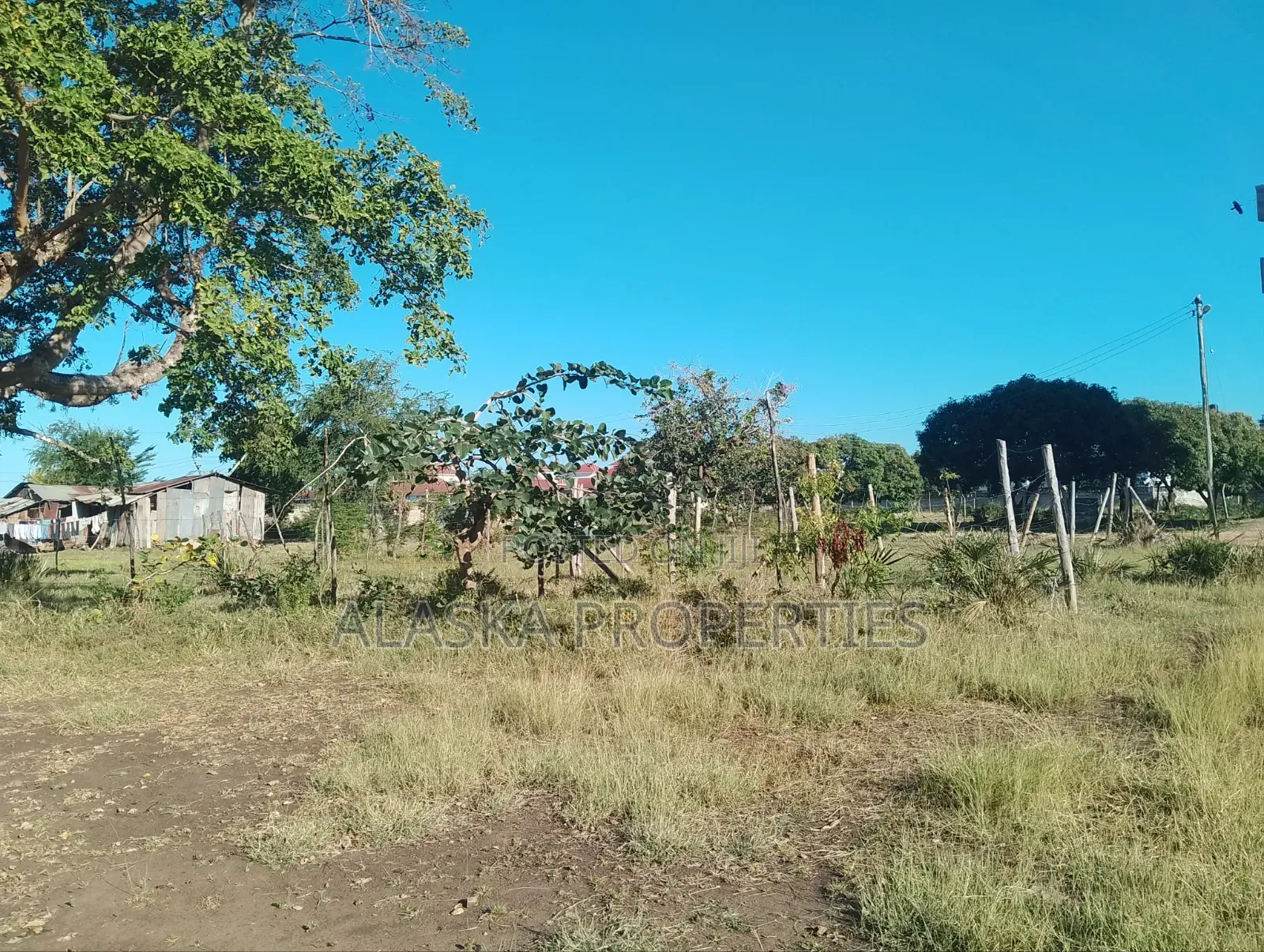 Quarter Acre Plot for Sale in Utange