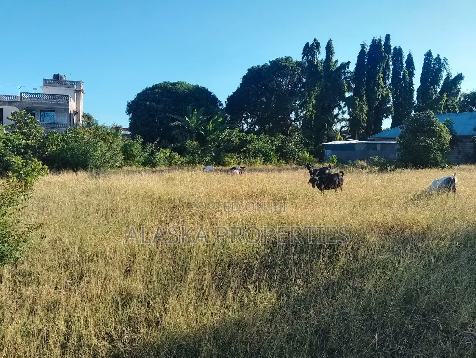 Quarter Acre Plot for Sale in Utange