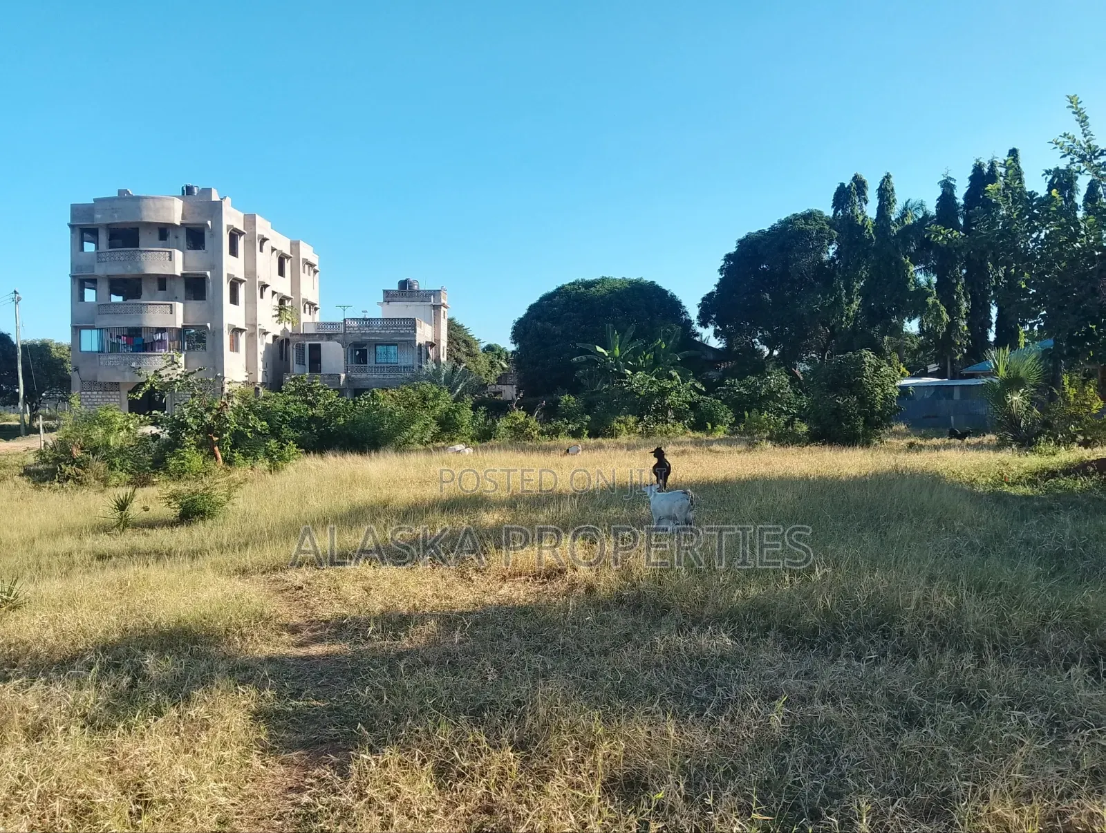Quarter Acre Plot for Sale in Utange