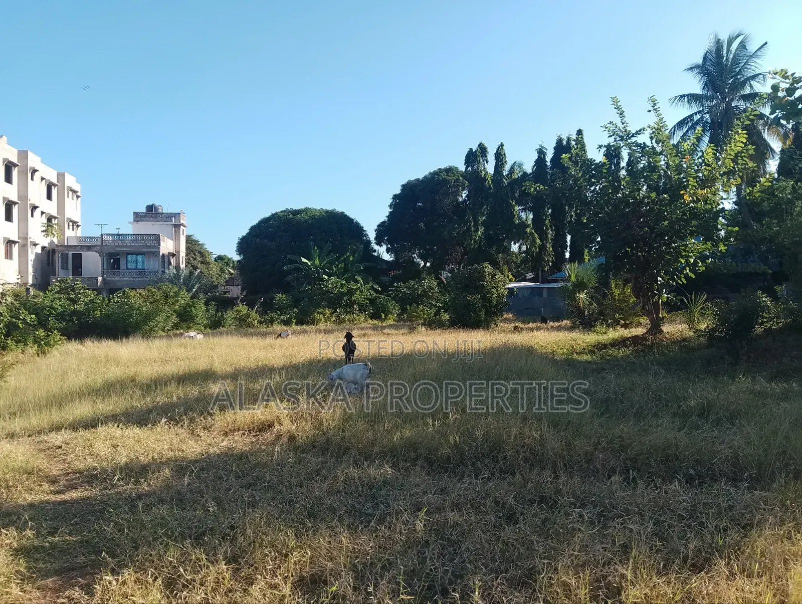 Quarter Acre Plot for Sale in Utange