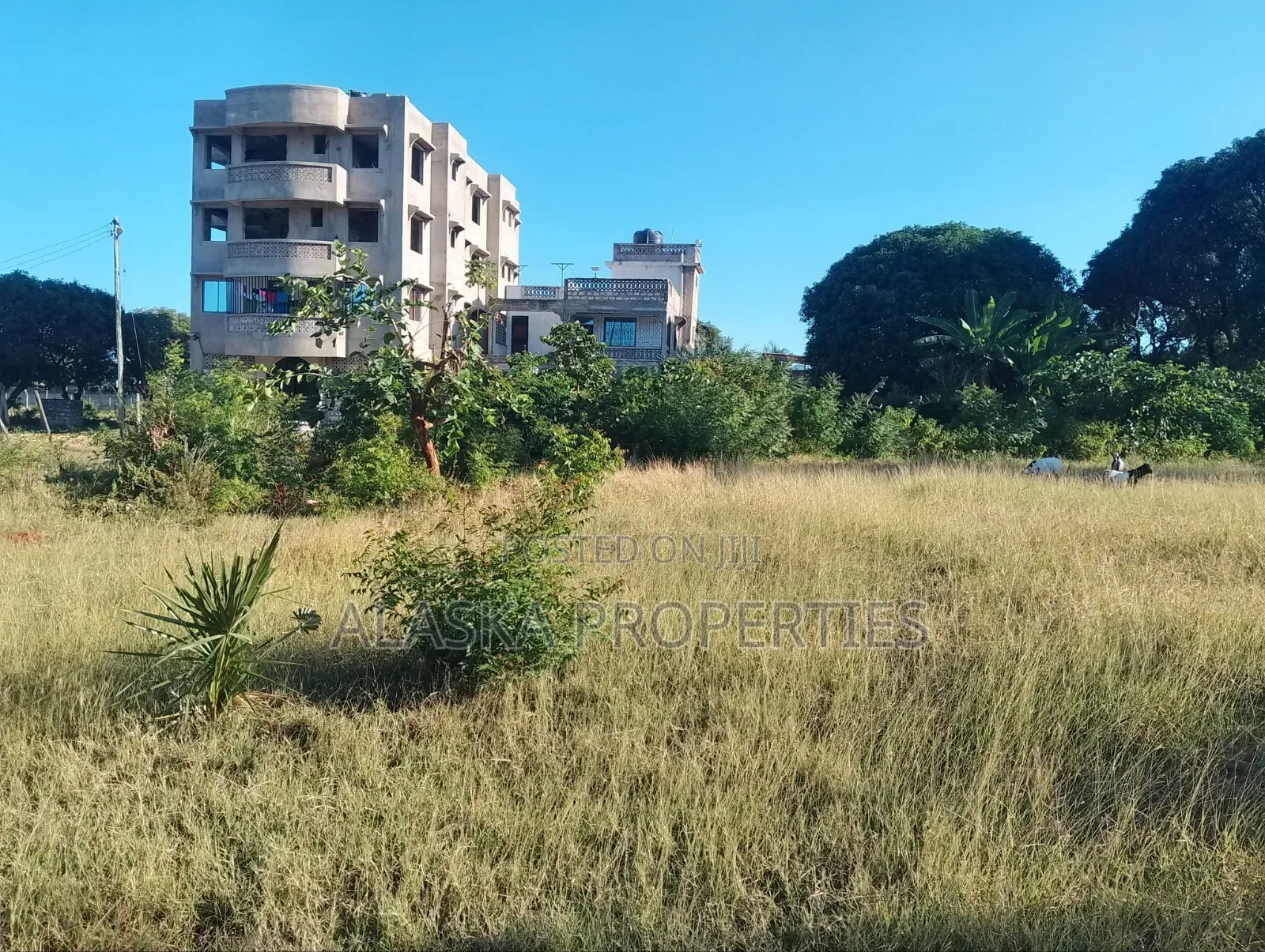 Quarter Acre Plot for Sale in Utange