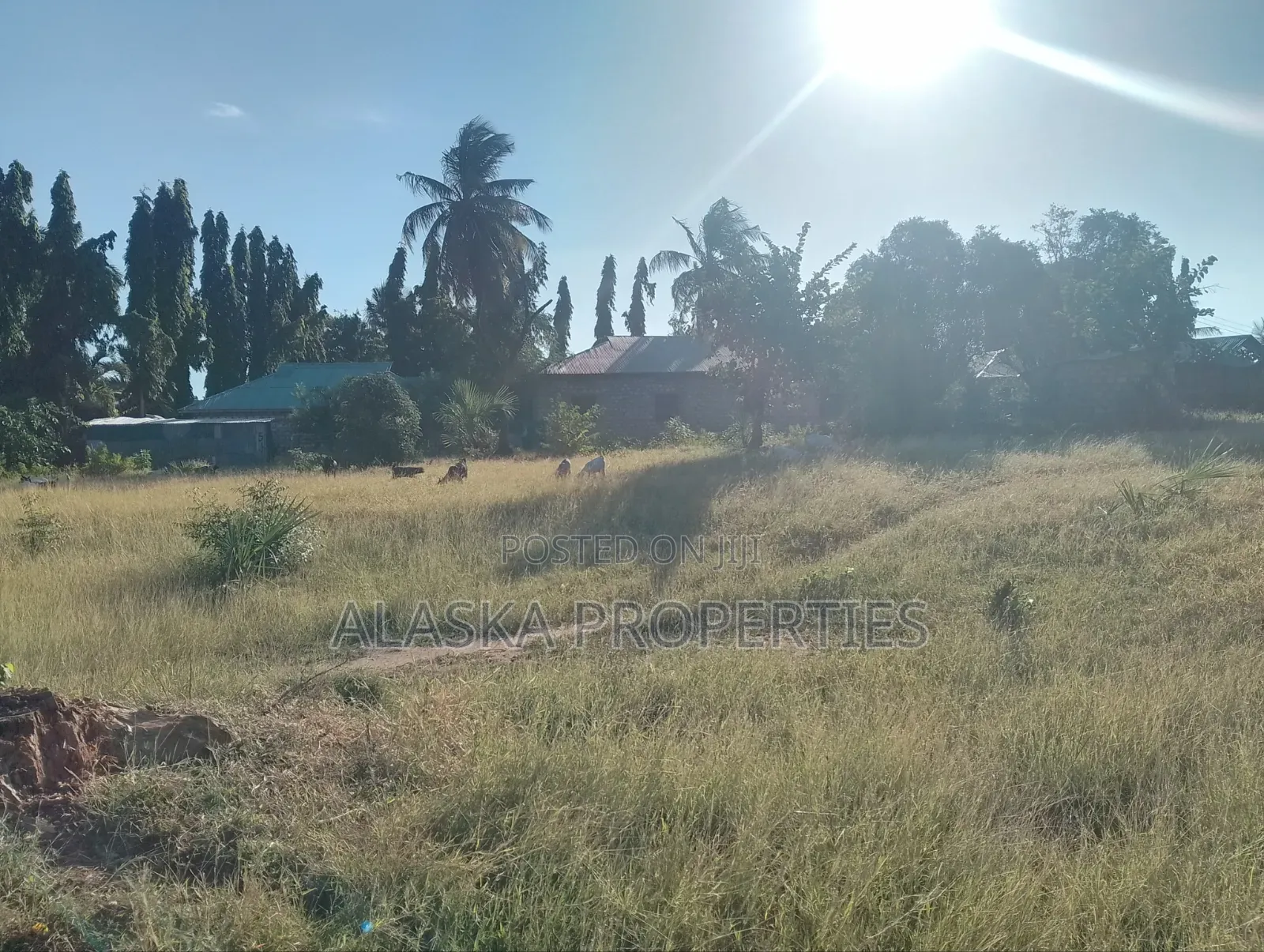 Quarter Acre Plot for Sale in Utange