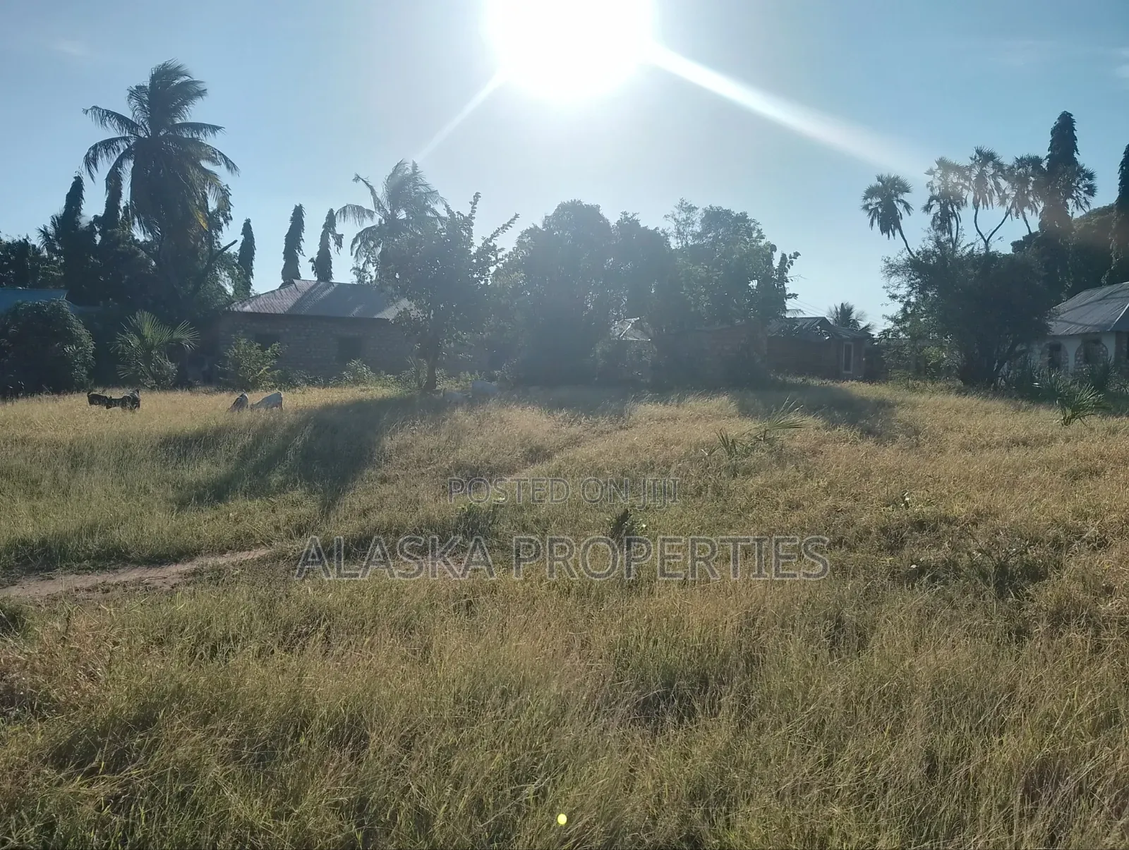 Quarter Acre Plot for Sale in Utange