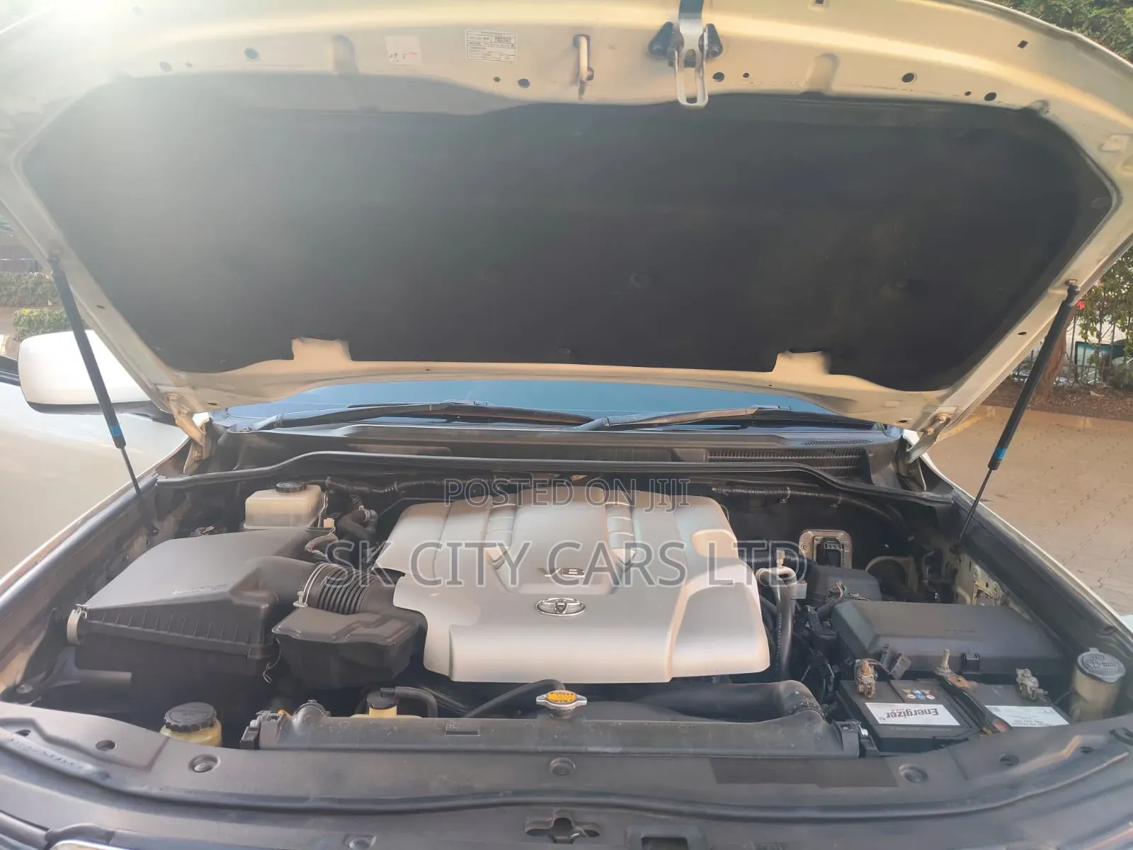Toyota Land Cruiser 2008 Pearl