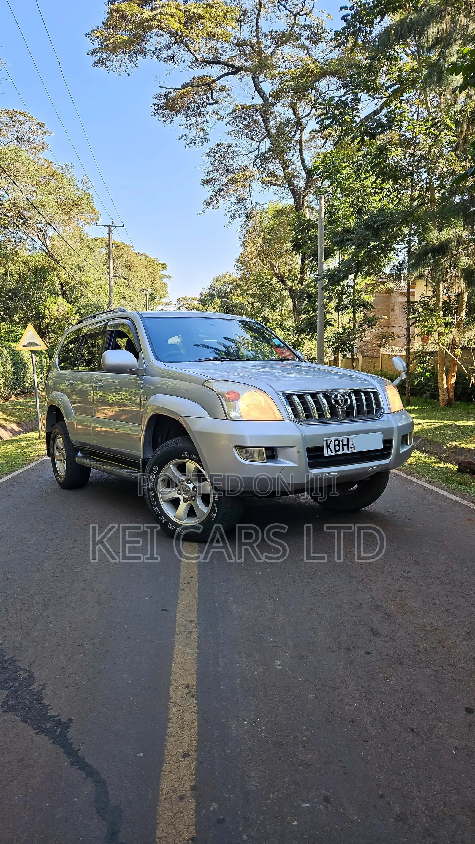 Toyota Land Cruiser 2004 Silver