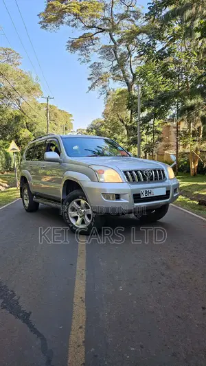 Toyota Land Cruiser 2004 Silver