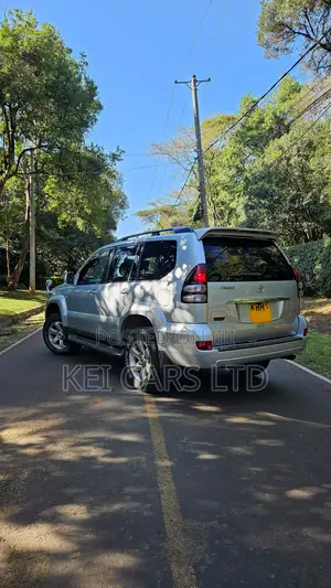 Toyota Land Cruiser 2004 Silver